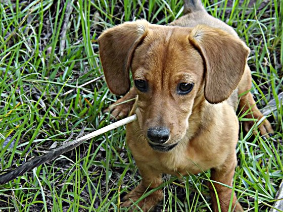 All about you!: Portraits